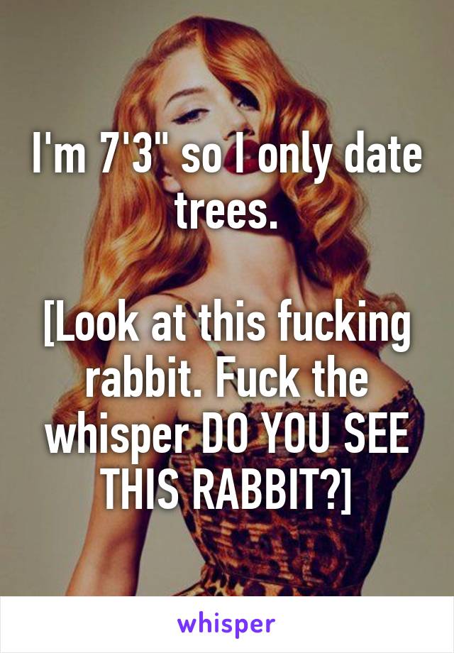 I'm 7'3" so I only date trees.

[Look at this fucking rabbit. Fuck the whisper DO YOU SEE THIS RABBIT?]