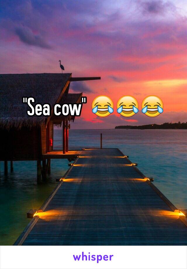 "Sea cow" 😂😂😂