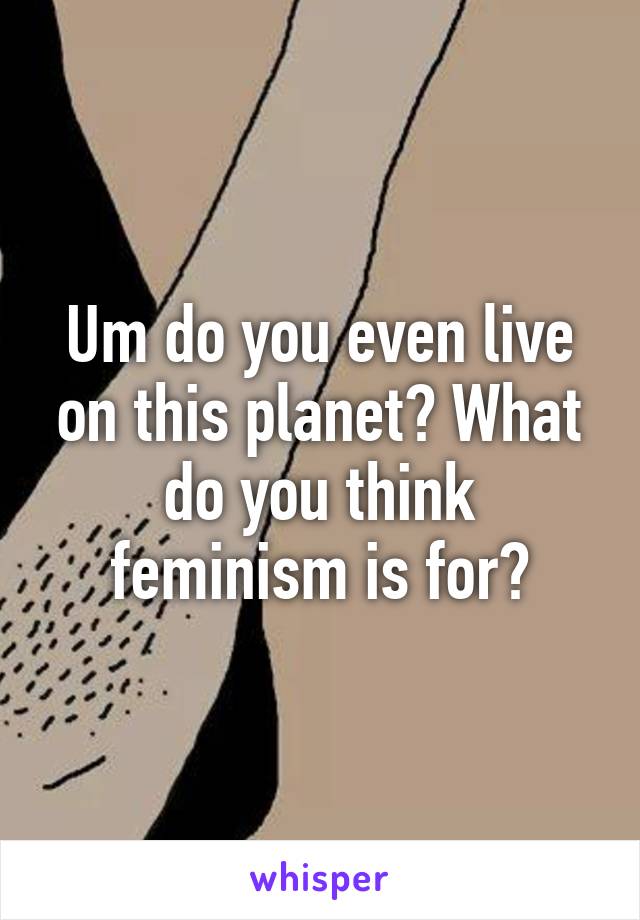 Um do you even live on this planet? What do you think feminism is for?