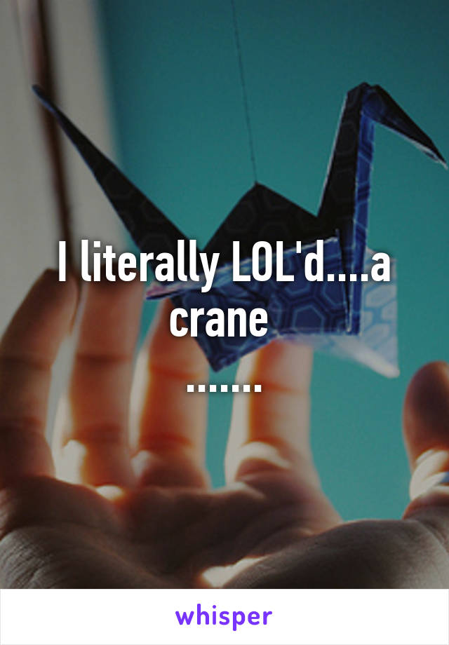 I literally LOL'd....a crane 
.......