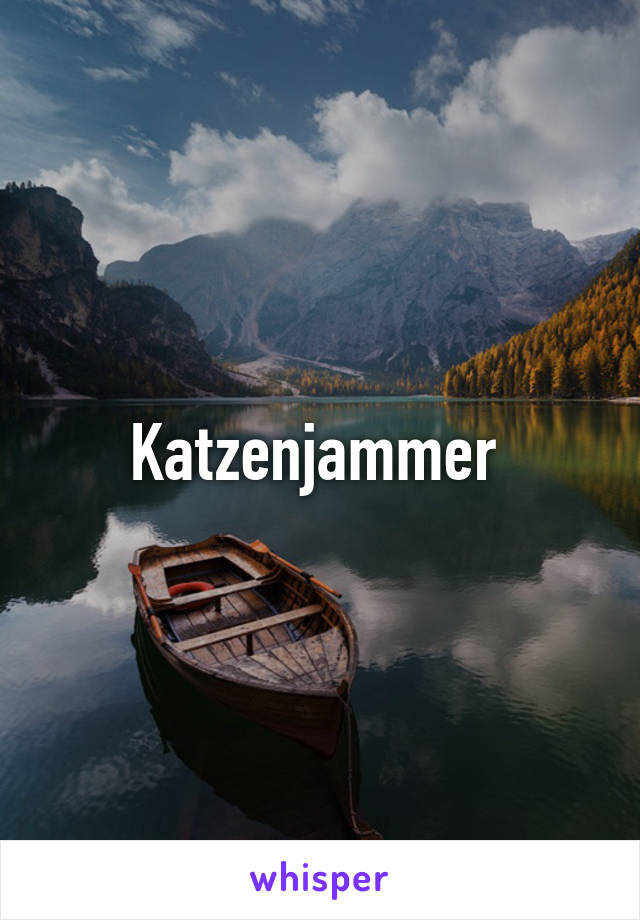 Katzenjammer 