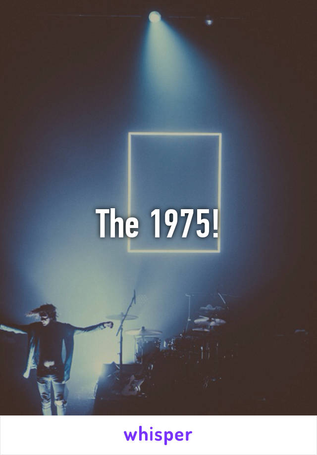 The 1975!