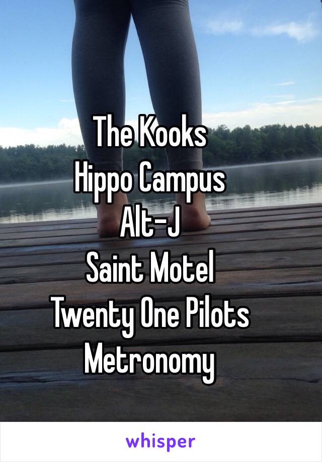 The Kooks
Hippo Campus
Alt-J
Saint Motel
Twenty One Pilots
Metronomy
