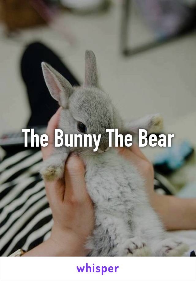 The Bunny The Bear