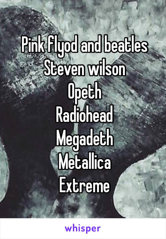 Pink flyod and beatles
Steven wilson
Opeth
Radiohead
Megadeth 
Metallica
Extreme