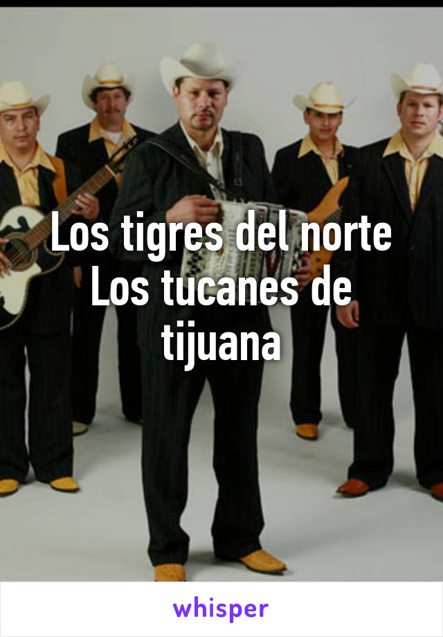 Los tigres del norte
Los tucanes de tijuana
