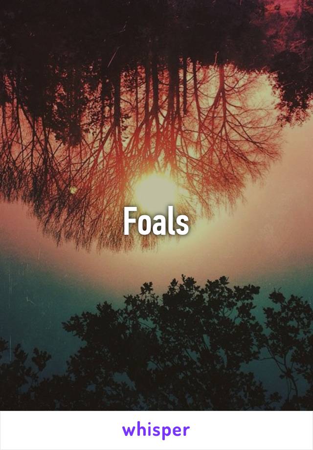 Foals