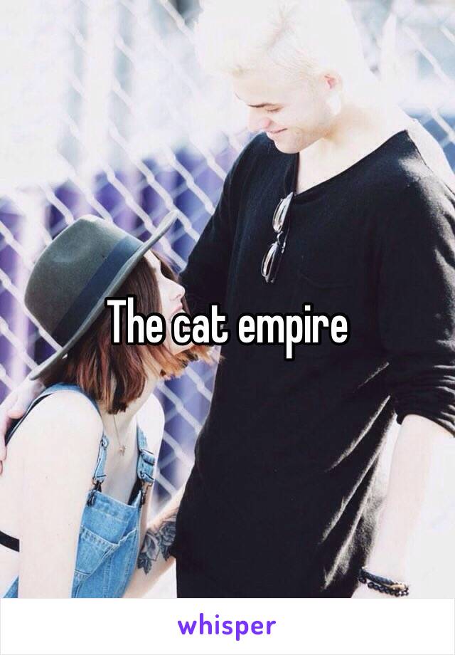 The cat empire 