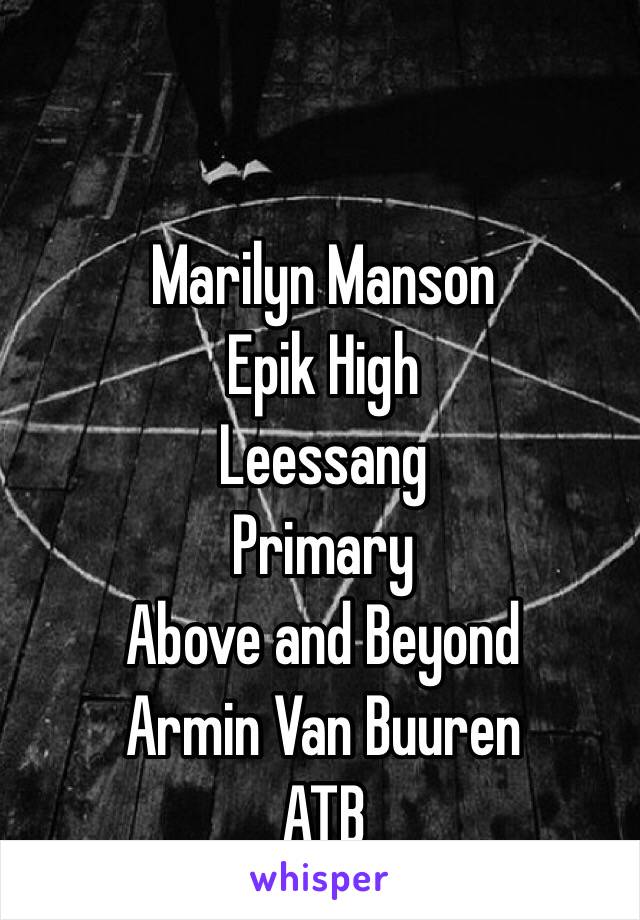 Marilyn Manson
Epik High
Leessang
Primary
Above and Beyond
Armin Van Buuren 
ATB