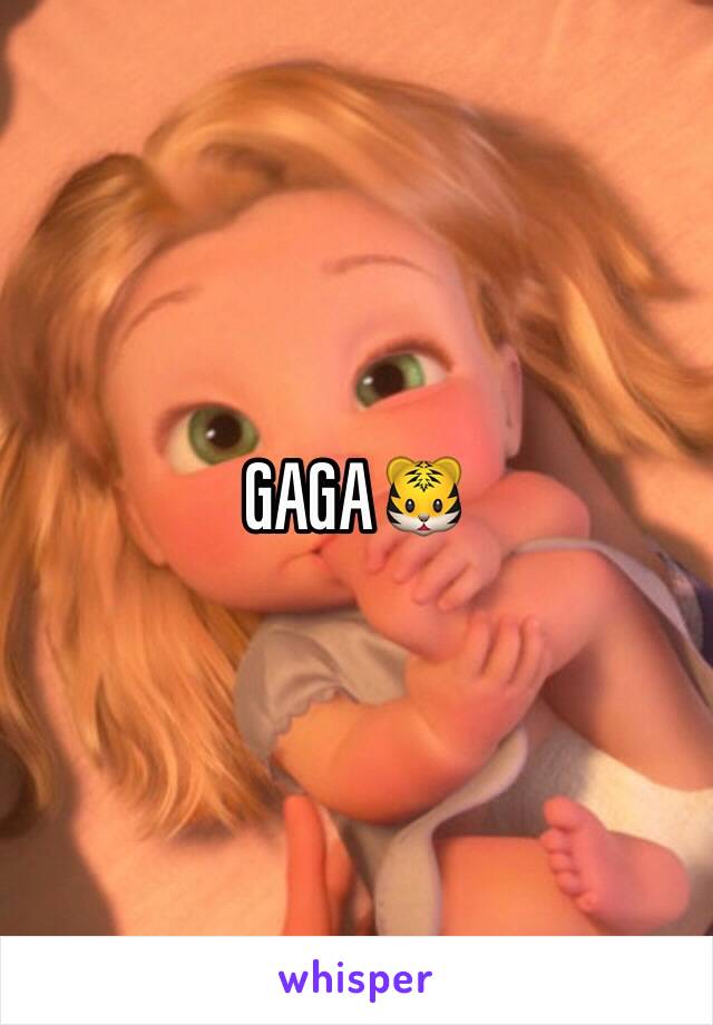 GAGA🐯