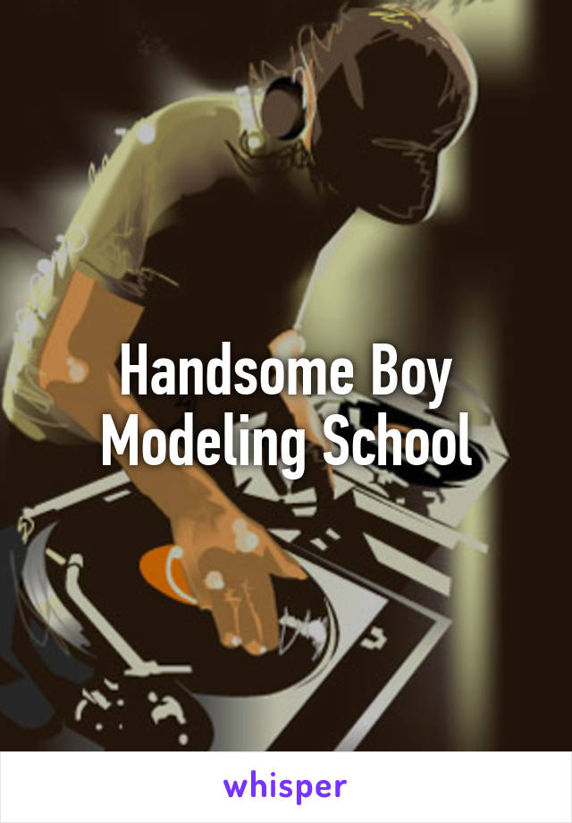 Handsome Boy Modeling School