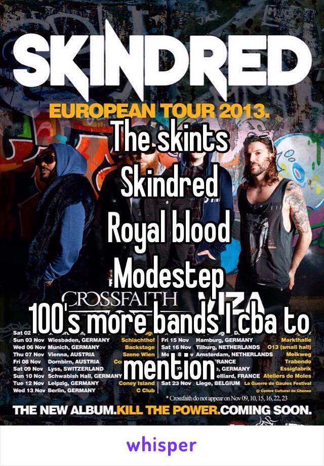 The skints
Skindred
Royal blood
Modestep 
100's more bands I cba to mention 