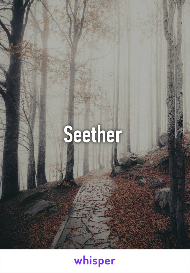 Seether 