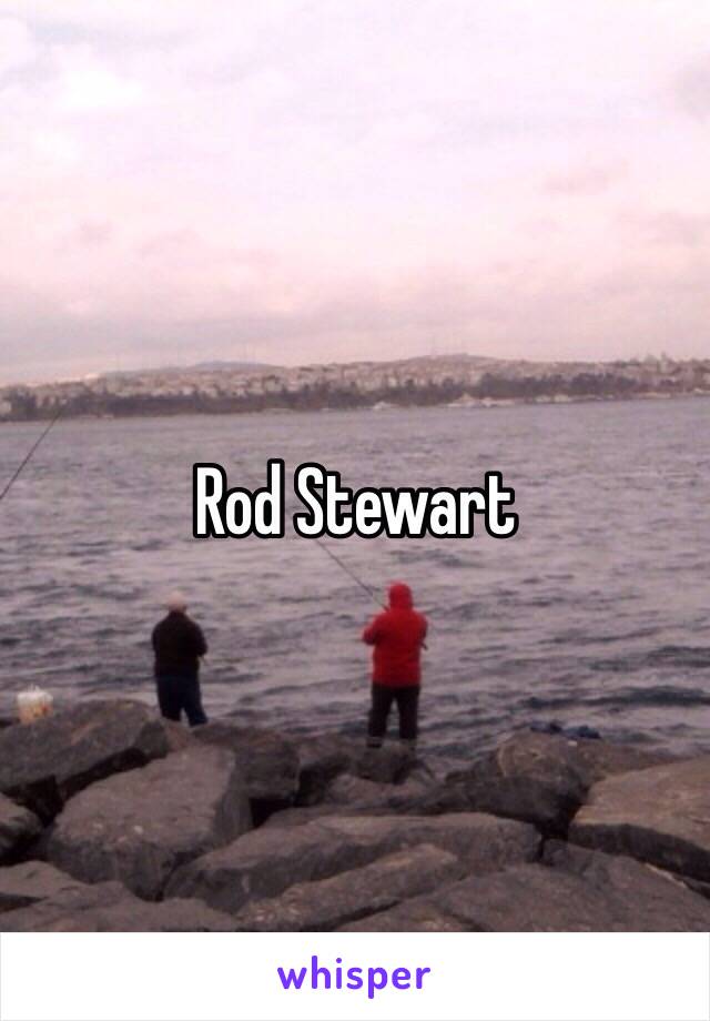 Rod Stewart 