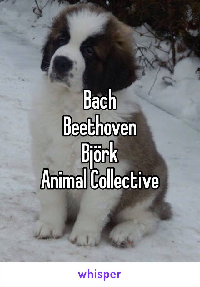 Bach
Beethoven
Björk
Animal Collective