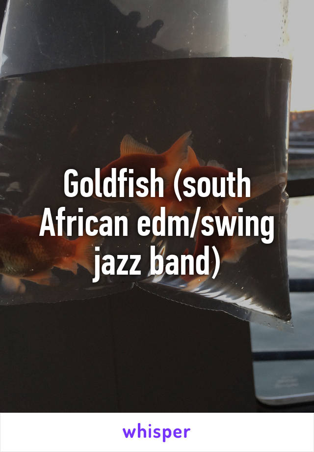 Goldfish (south African edm/swing jazz band)