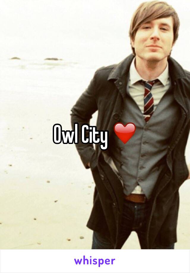 Owl City ❤️