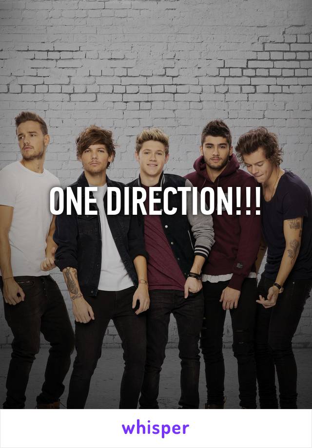 ONE DIRECTION!!!
