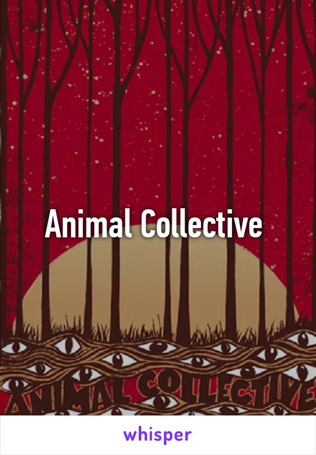 Animal Collective 