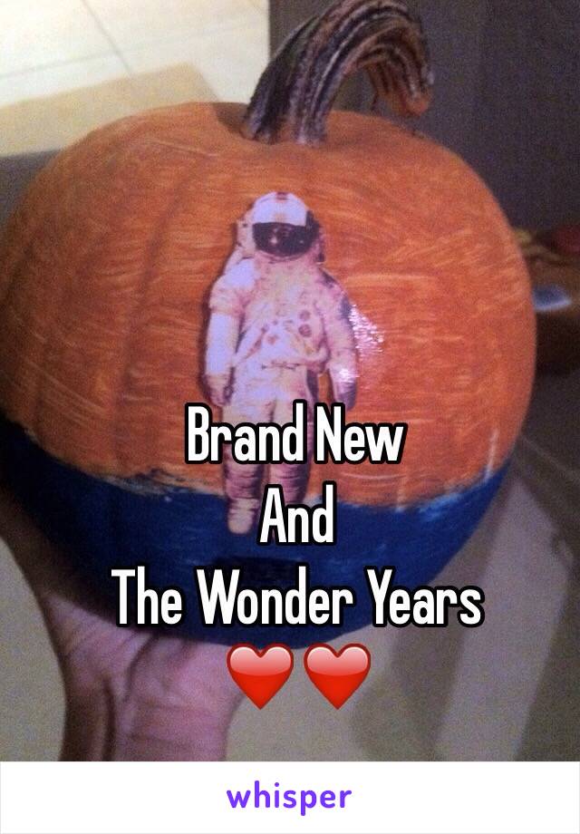 Brand New
And
The Wonder Years
❤️❤️