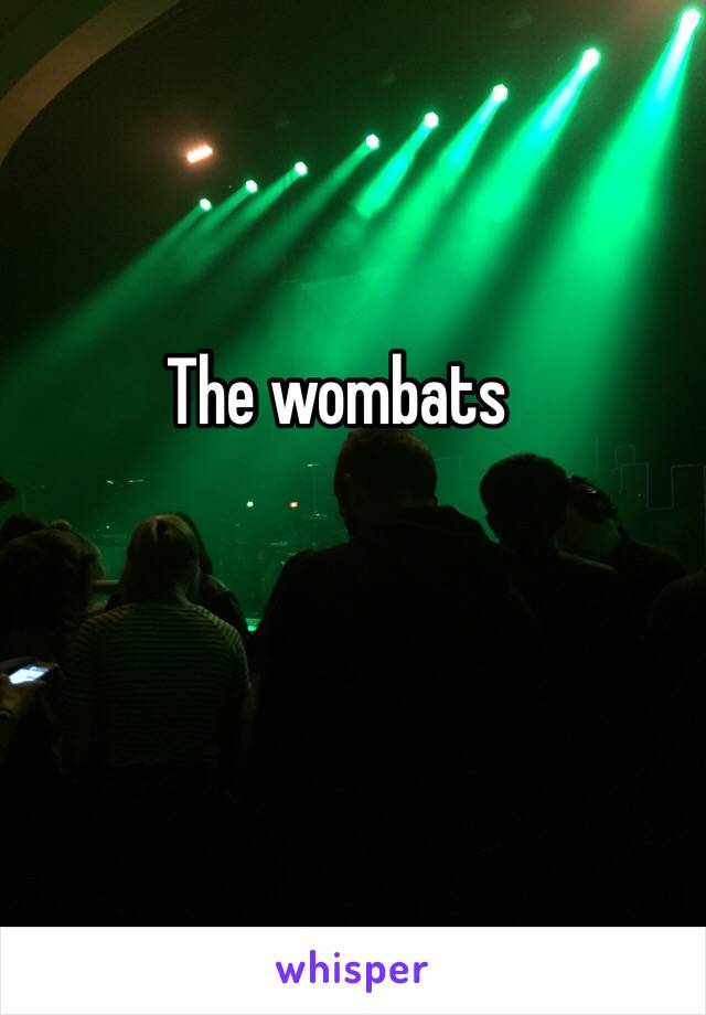 The wombats 
