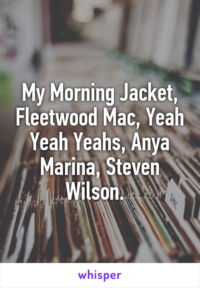 My Morning Jacket, Fleetwood Mac, Yeah Yeah Yeahs, Anya Marina, Steven Wilson.  