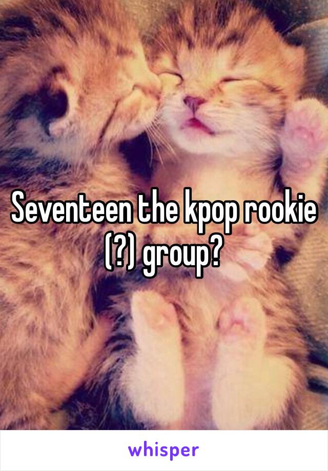 Seventeen the kpop rookie (?) group? 