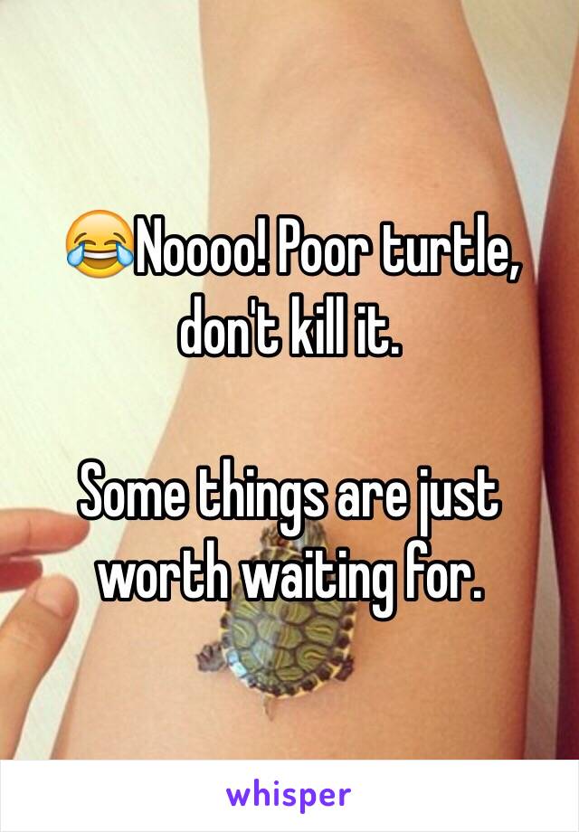 😂Noooo! Poor turtle, don't kill it. 

Some things are just worth waiting for. 