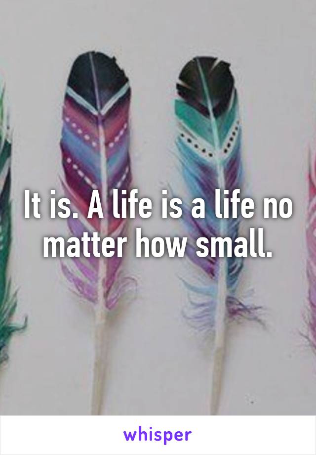 It is. A life is a life no matter how small.
