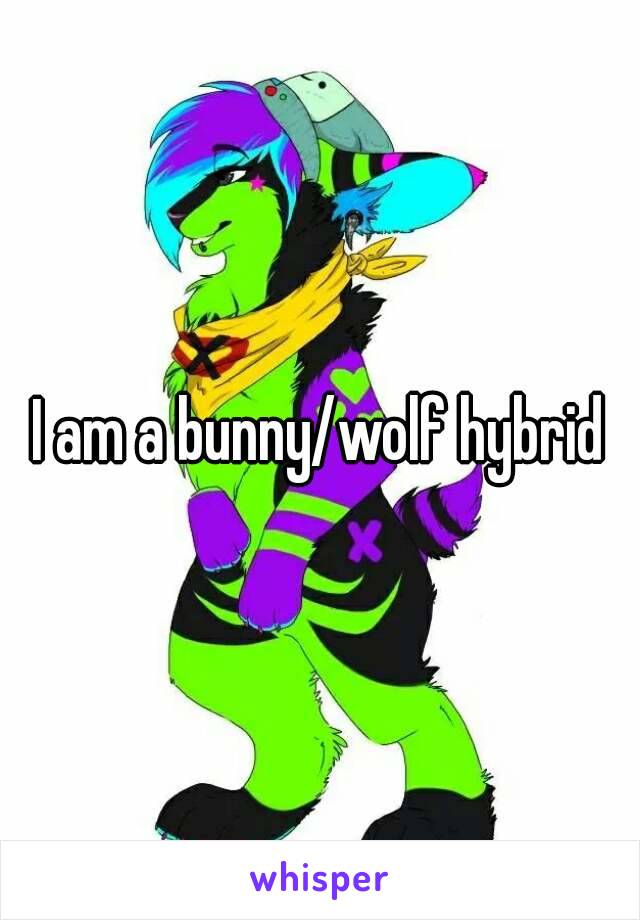 I am a bunny/wolf hybrid