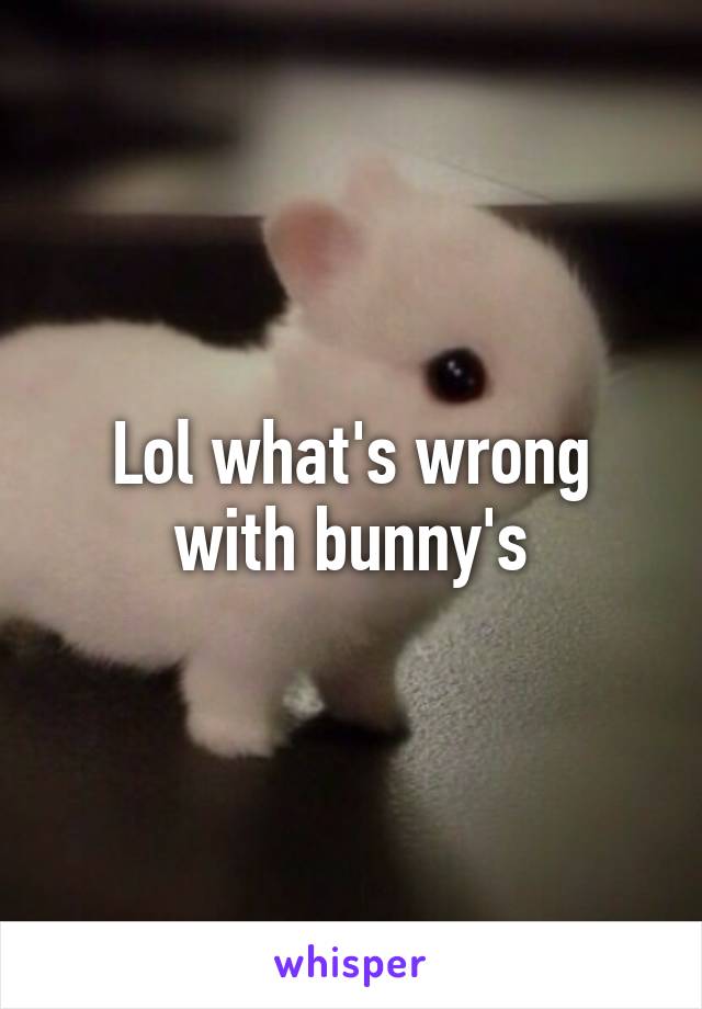 Lol what's wrong with bunny's