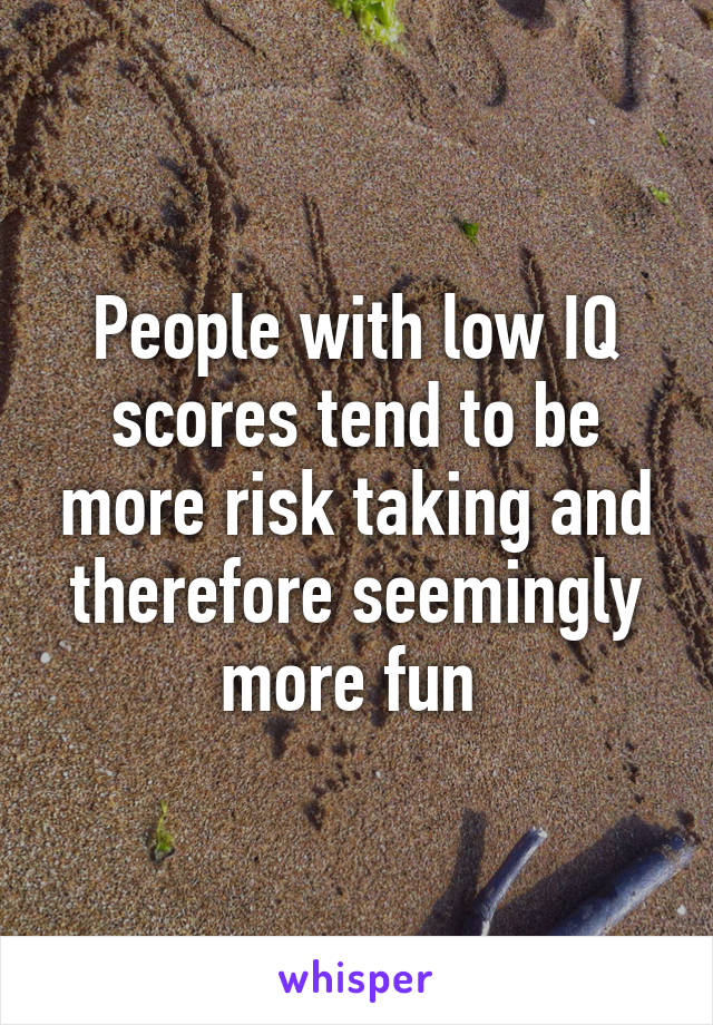People with low IQ scores tend to be more risk taking and therefore seemingly more fun 