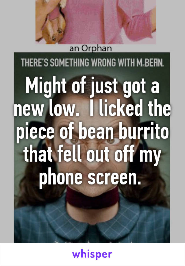 Might of just got a new low.  I licked the piece of bean burrito that fell out off my phone screen. 