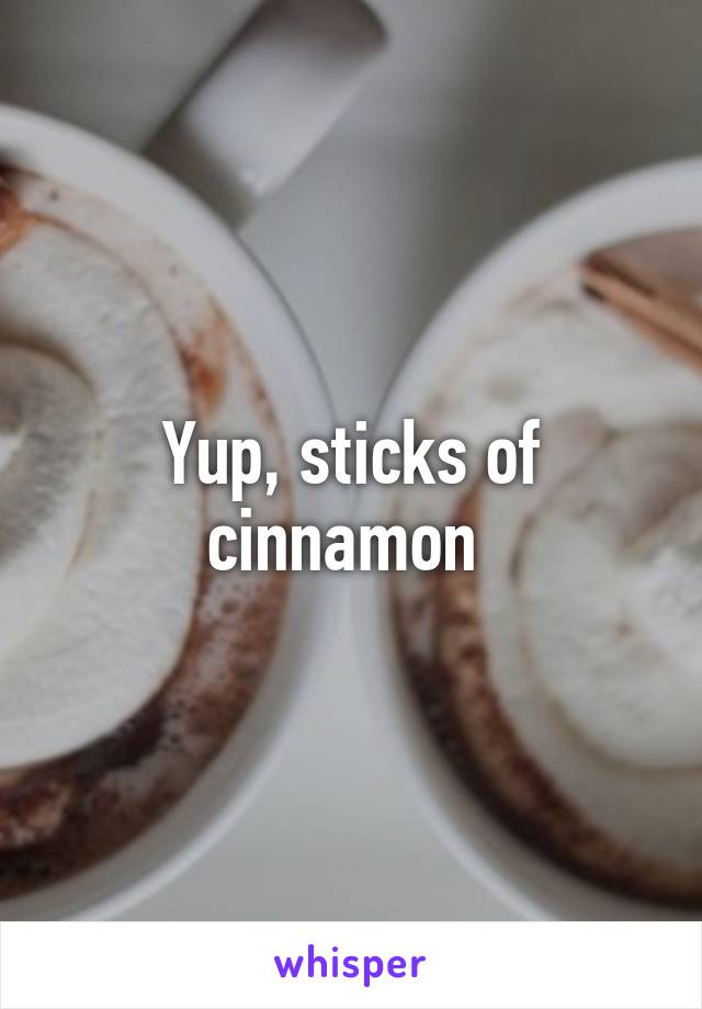Yup, sticks of cinnamon 