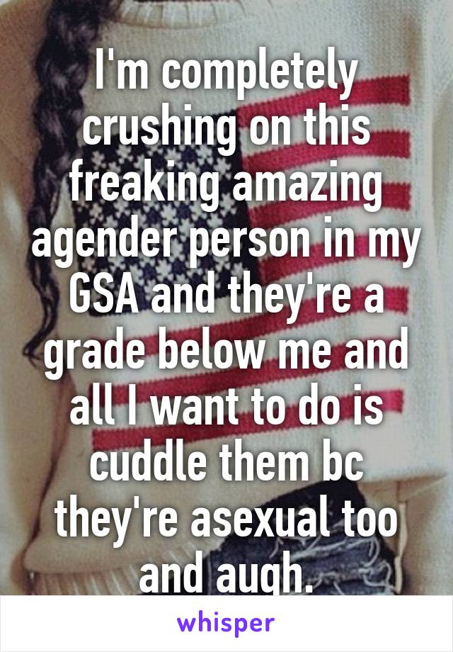 I'm completely crushing on this freaking amazing agender person in my GSA and they're a grade below me and all I want to do is cuddle them bc they're asexual too and augh.