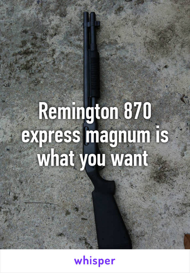 Remington 870 express magnum is what you want 