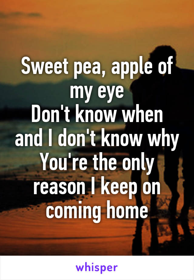 Sweet pea, apple of my eye
Don't know when and I don't know why
You're the only reason I keep on coming home