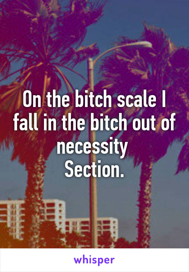 On the bitch scale I fall in the bitch out of necessity 
Section.
