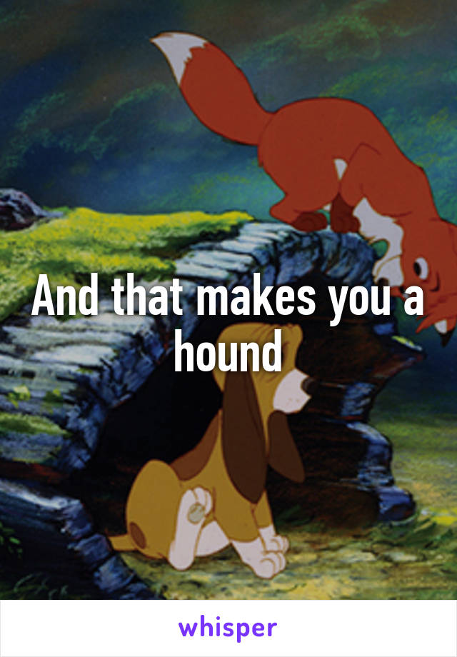 And that makes you a hound
