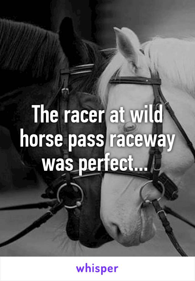 The racer at wild horse pass raceway was perfect... 