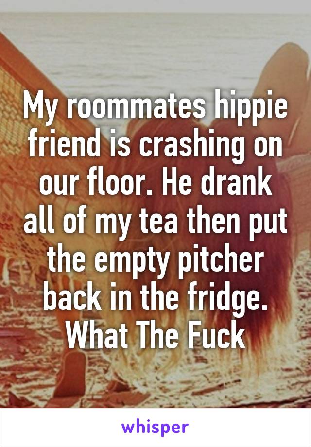 My roommates hippie friend is crashing on our floor. He drank all of my tea then put the empty pitcher back in the fridge. What The Fuck