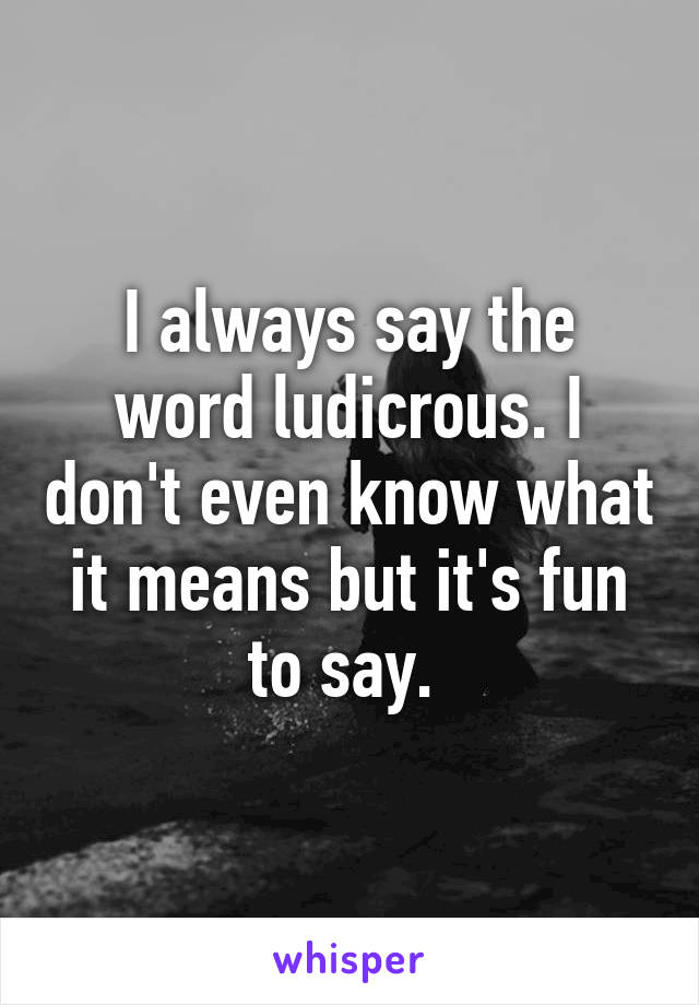 I always say the word ludicrous. I don't even know what it means but it's fun to say. 