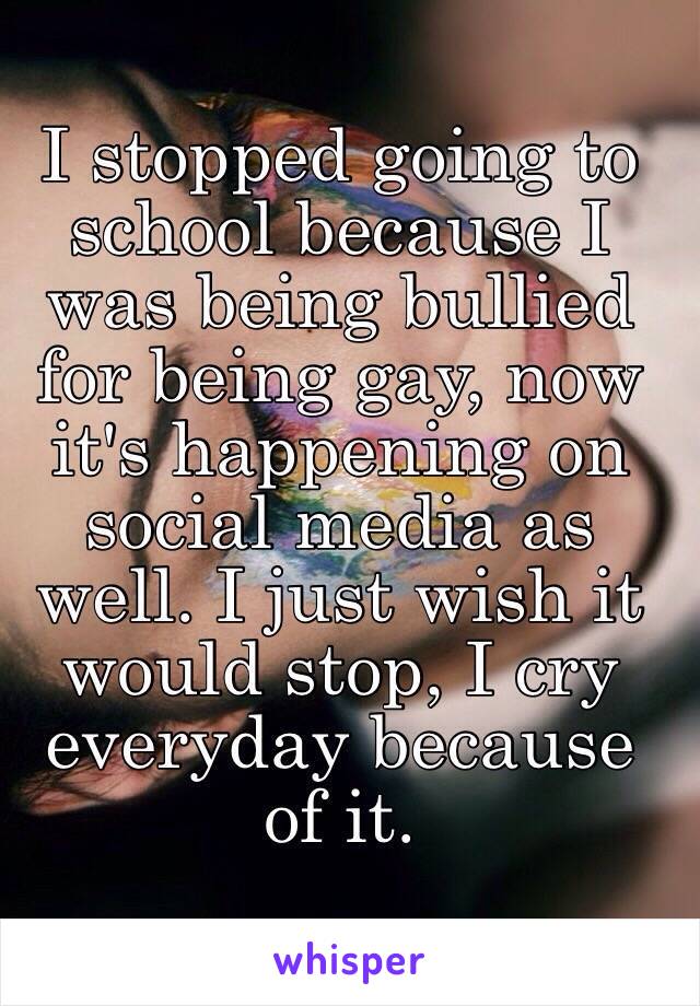 I stopped going to school because I was being bullied for being gay, now it's happening on social media as well. I just wish it would stop, I cry everyday because of it. 