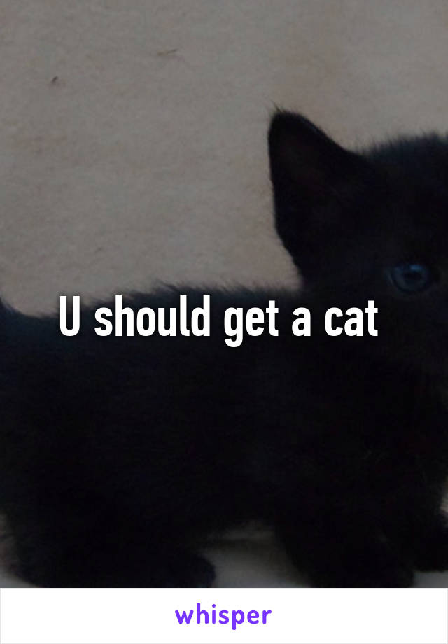 U should get a cat 