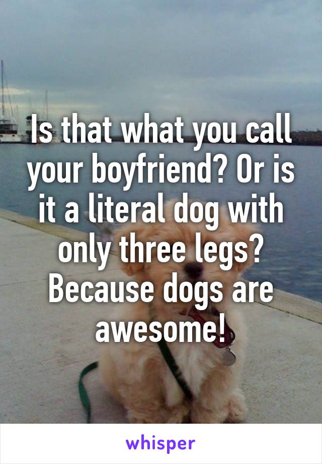 Is that what you call your boyfriend? Or is it a literal dog with only three legs? Because dogs are awesome!