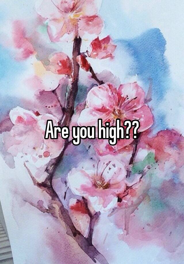 are-you-high