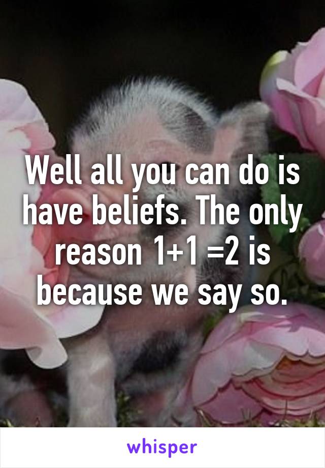 Well all you can do is have beliefs. The only reason 1+1 =2 is because we say so.