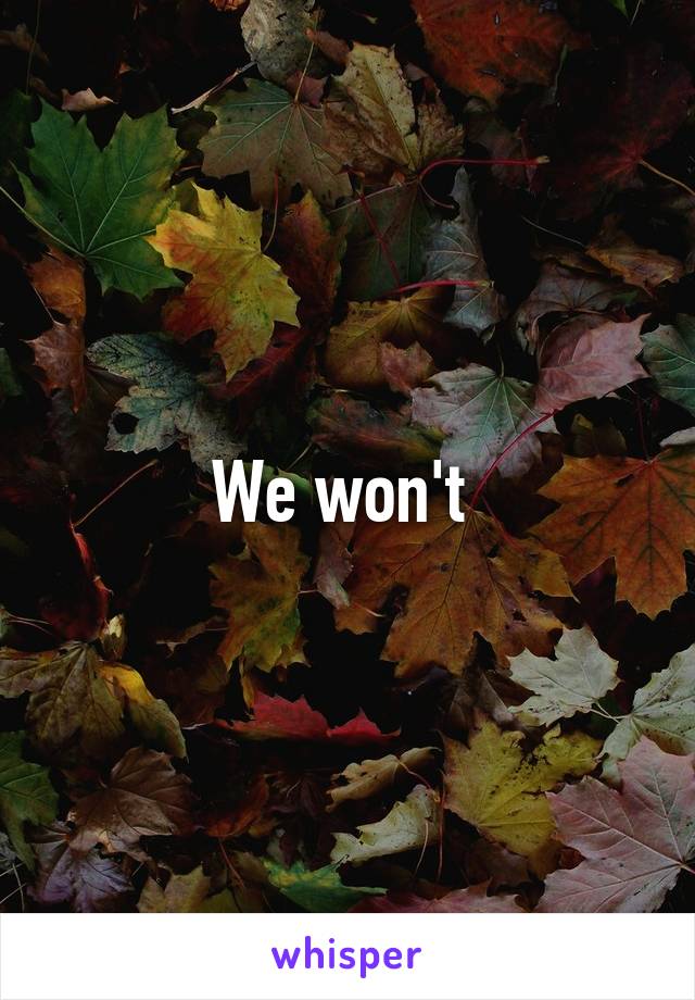 We won't 