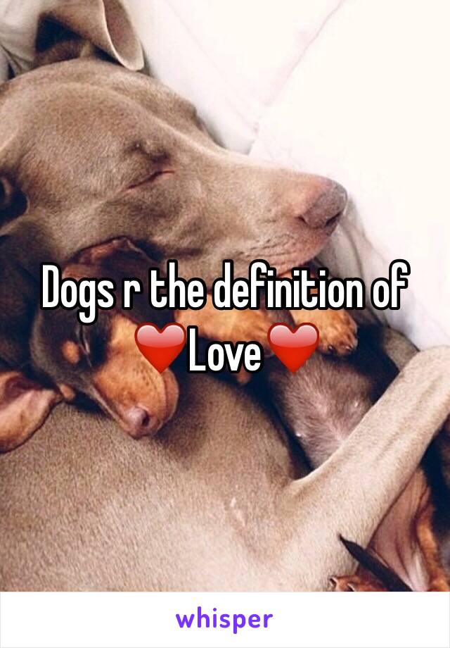 Dogs r the definition of ❤️Love❤️