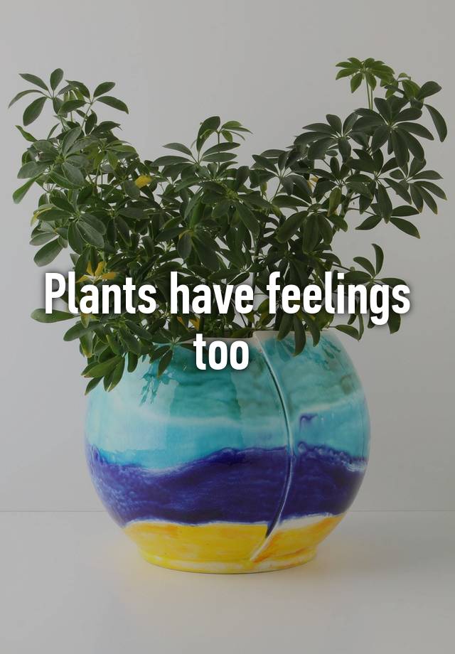 essay about plants have feelings too